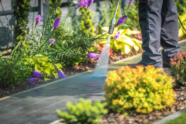 Best Sidewalk and Walkway Cleaning  in El Centro, CA