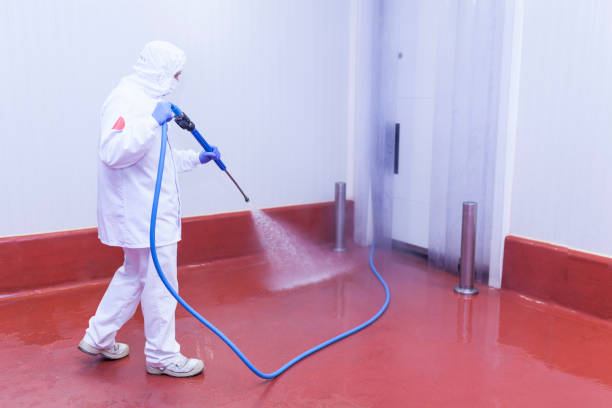 Best Pre-Holiday Cleaning  in El Centro, CA